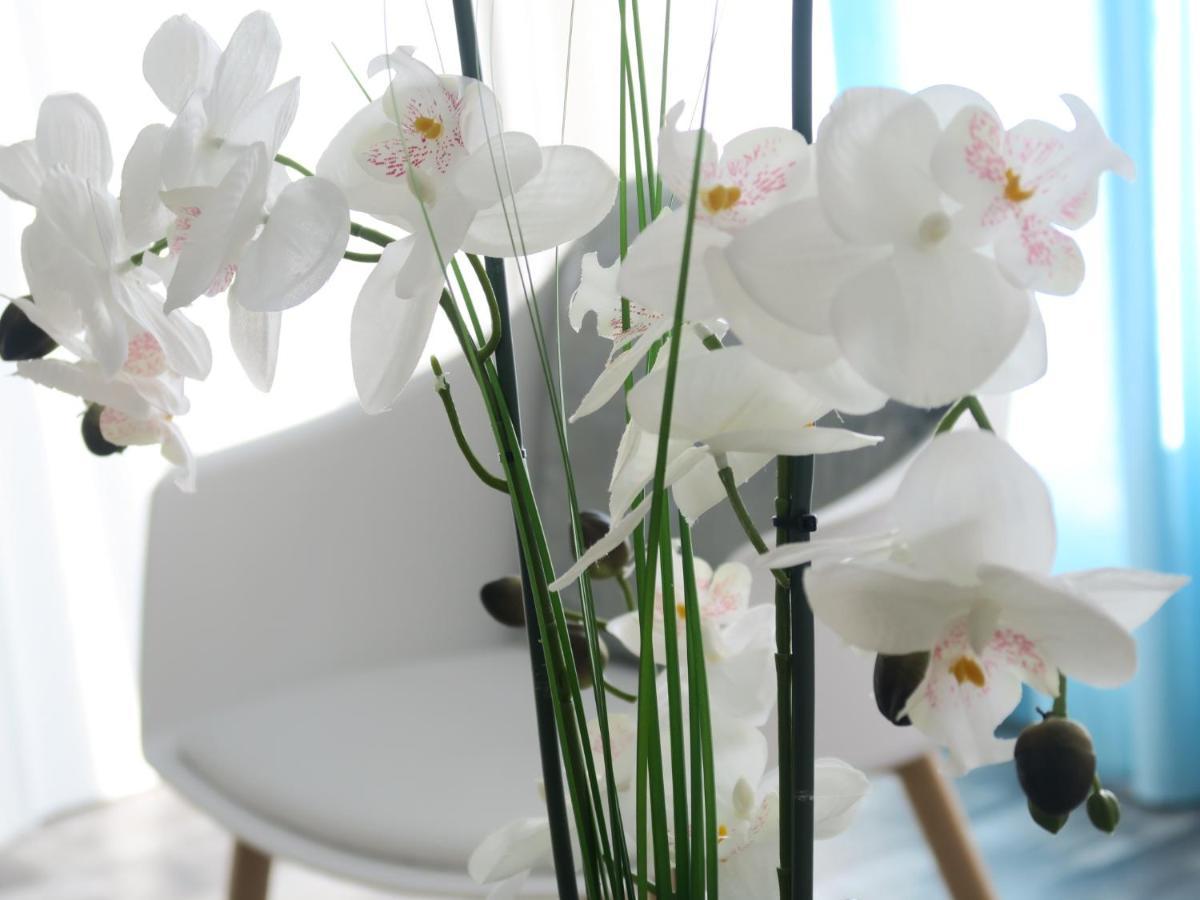 Manganao Loft Bord De Mer Belle-Allée 외부 사진